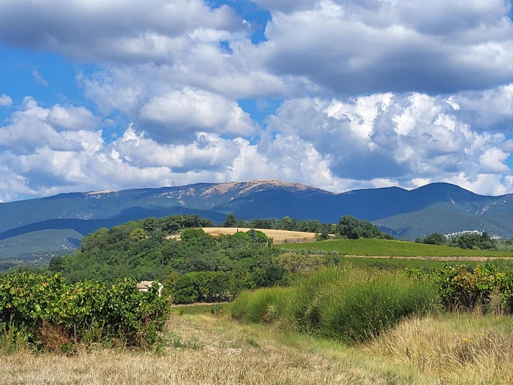 Les Saffres - Gite De Charme Pour 8 Personnes Valréas Esterno foto